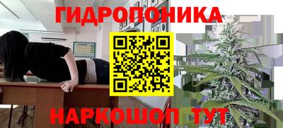 сатива Волжский